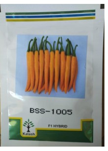 Kalash BSS-1005